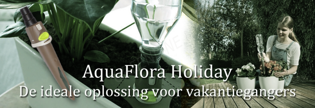 aquaflora-holiday-header