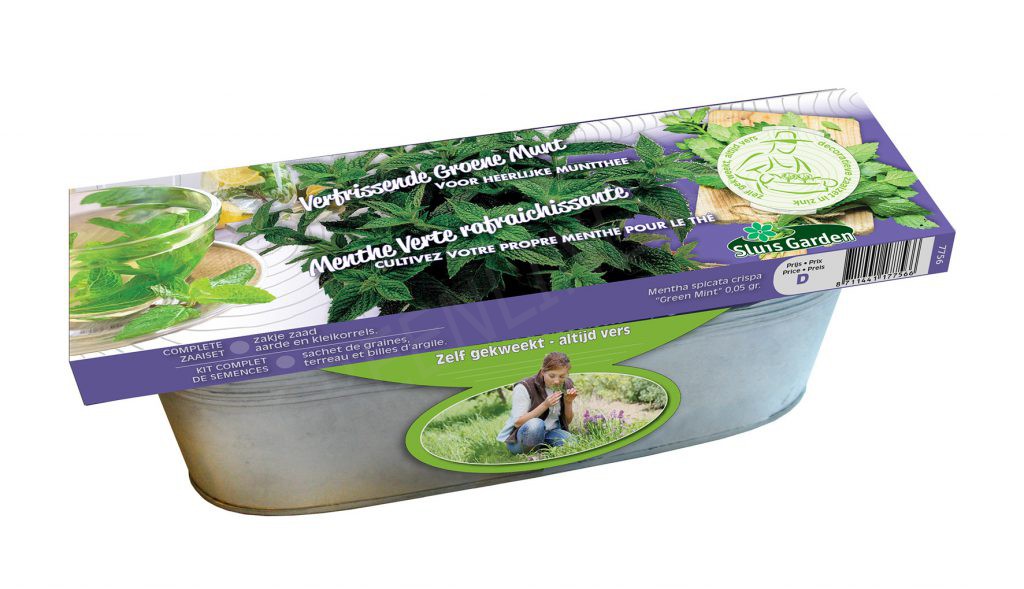 Decoratieve zaai set voor in de keuken Groene Munt BIO in zinken bak