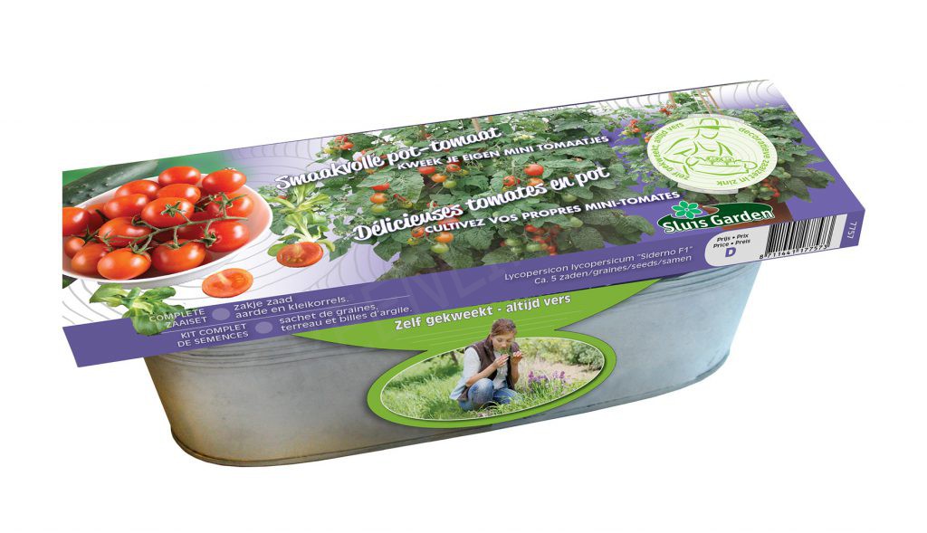 Decoratieve zaai set Tomaat Siderno BIO in zinken bak