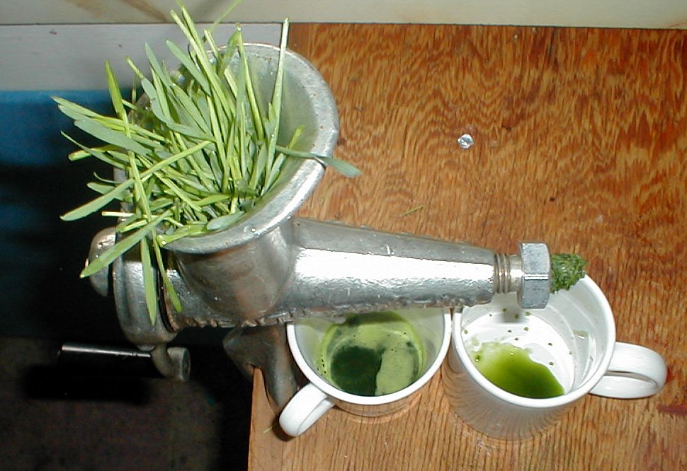 Slow juicing